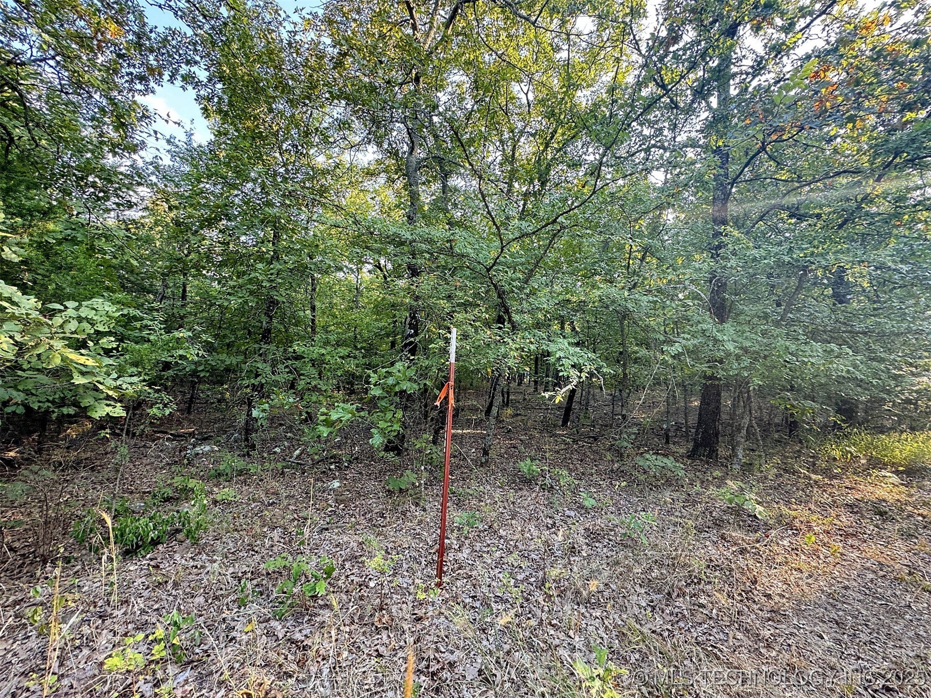 22695 N 6 Mile Road Property Photo 22