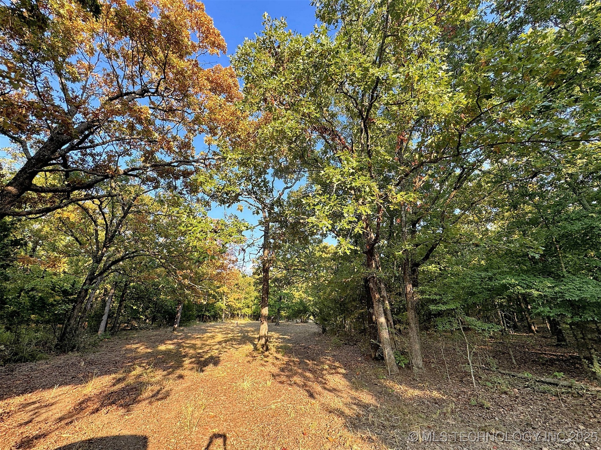 22695 N 6 Mile Road Property Photo 28