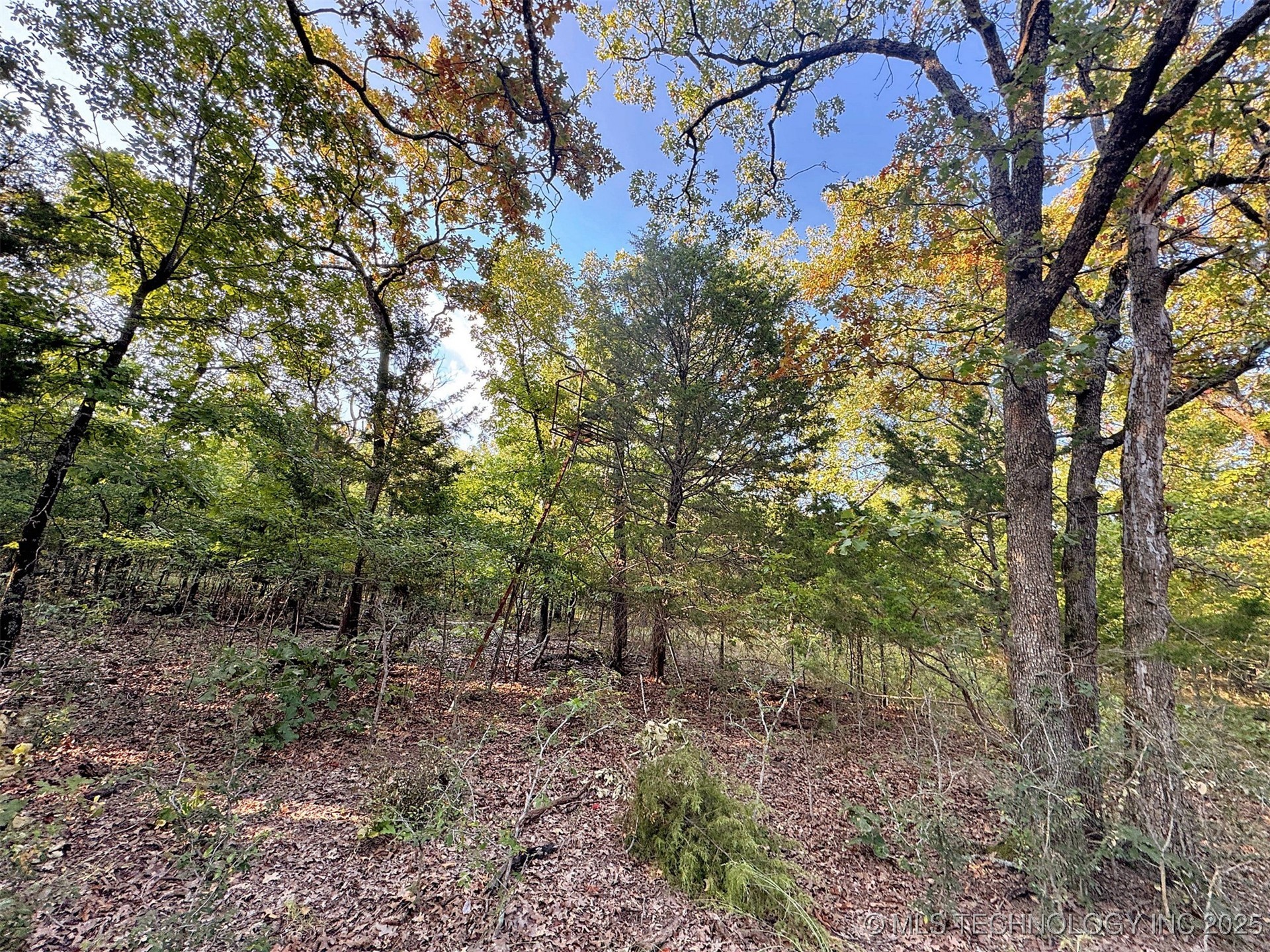 22695 N 6 Mile Road Property Photo 29