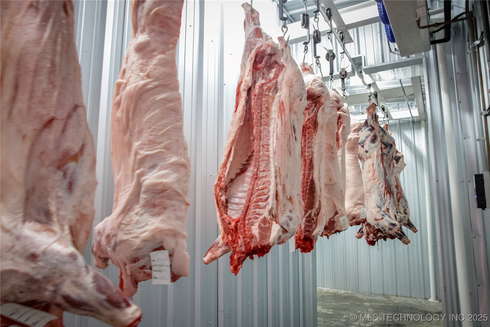 224 Duncan Street Property Photo 9