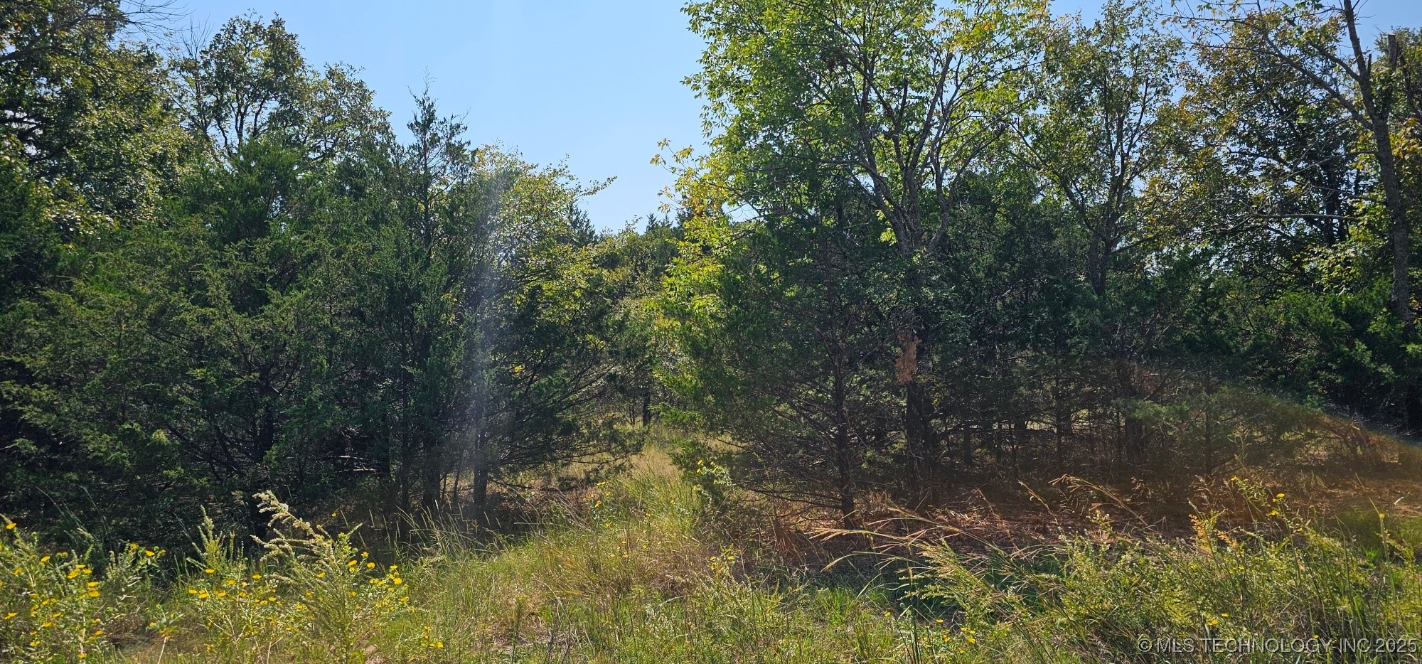 00000 994 Road Property Photo 4