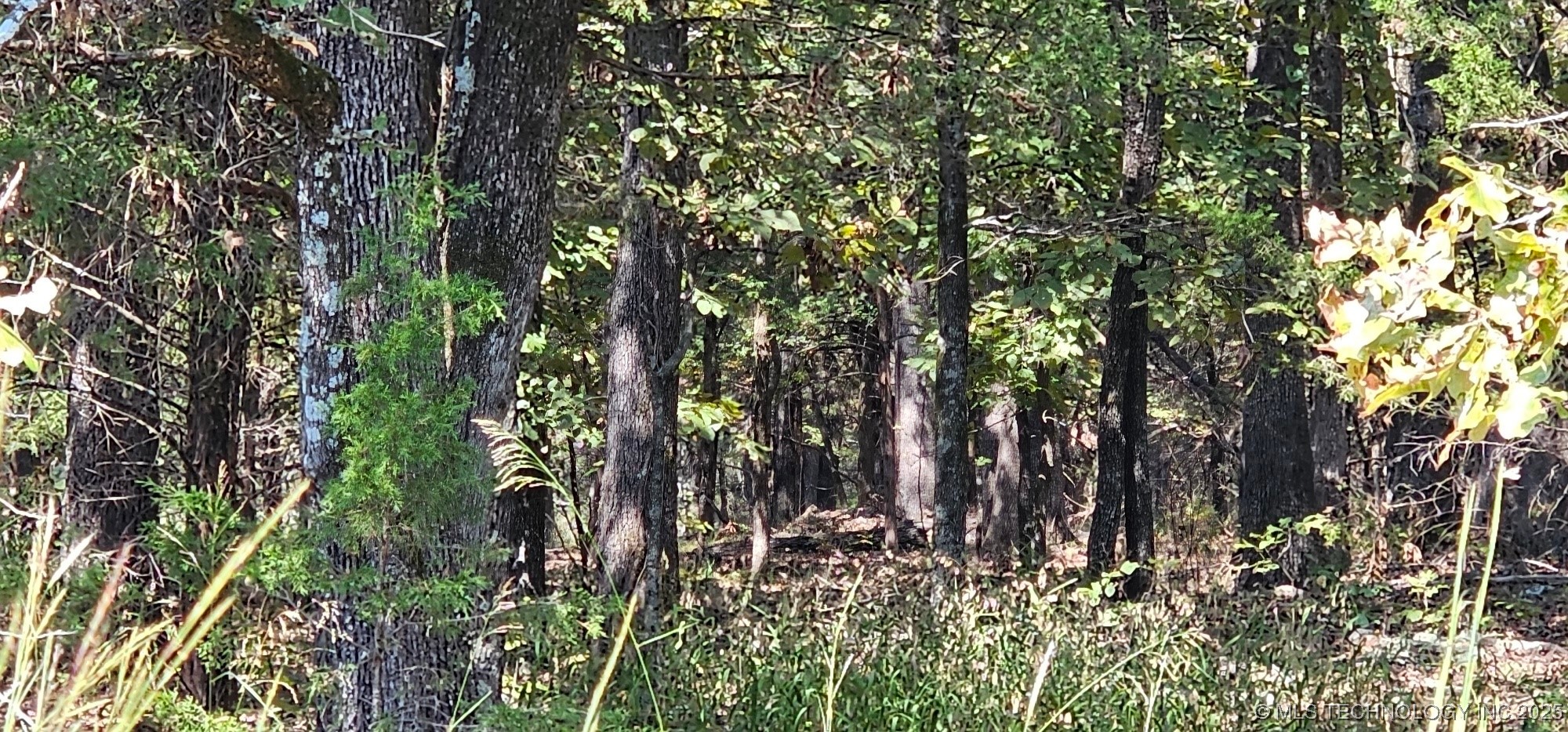 00000 994 Road Property Photo 8