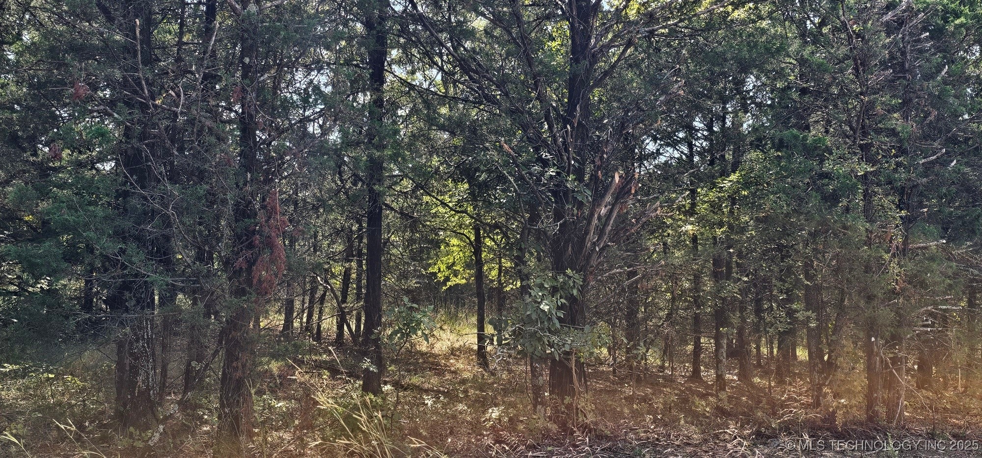 00000 994 Road Property Photo 13