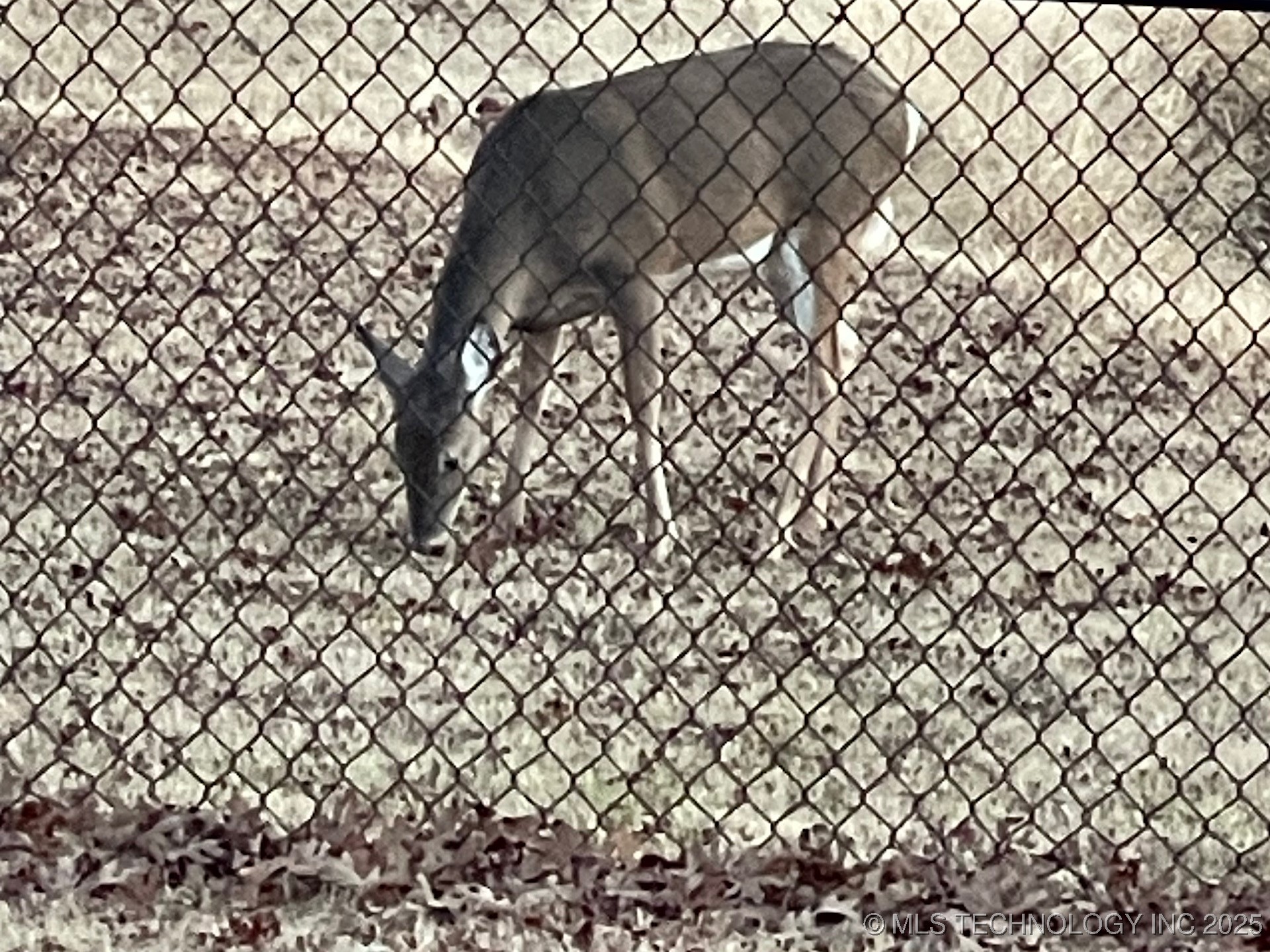 9505 S Rose Road Property Photo 73