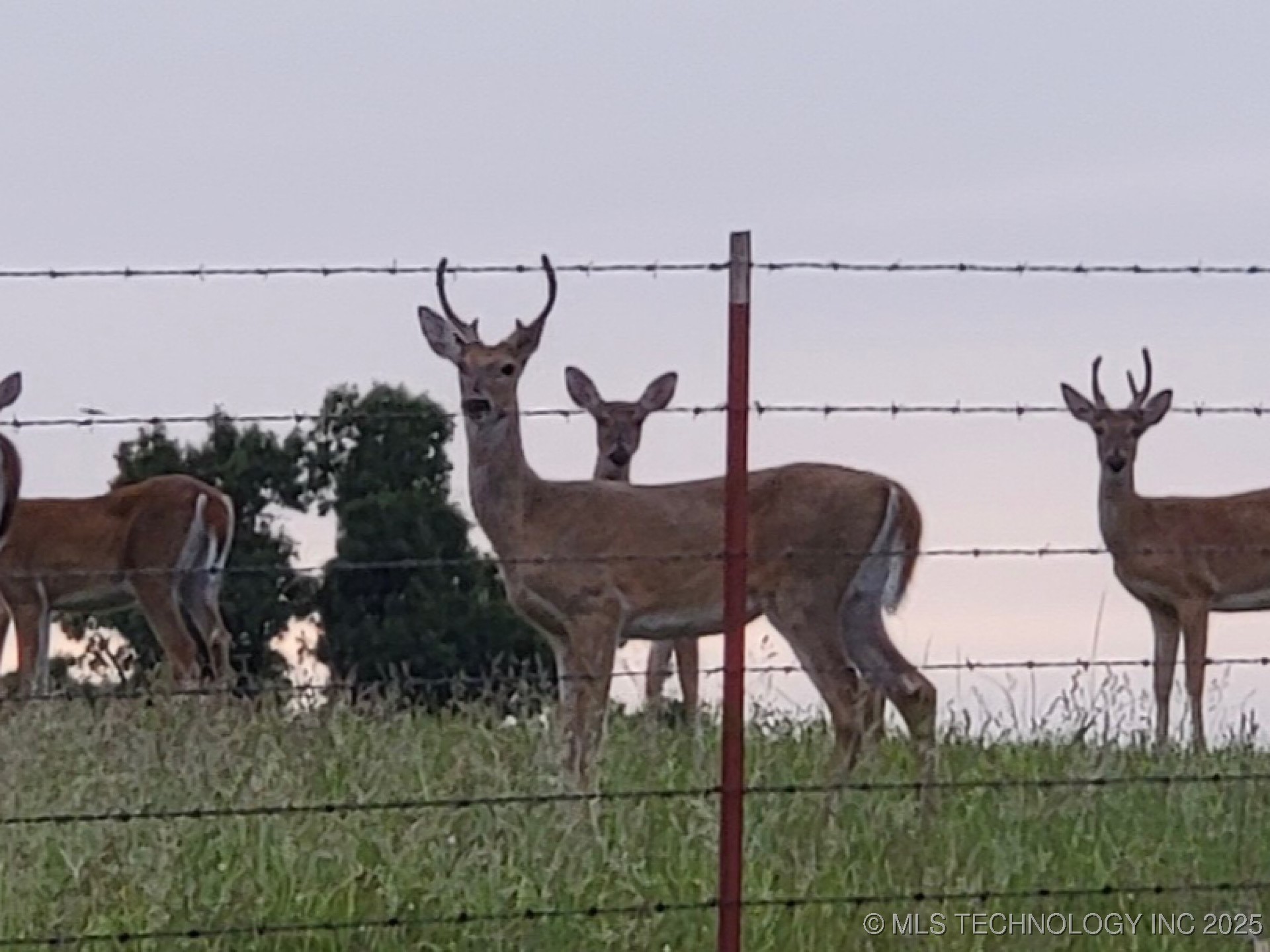 9505 S Rose Road Property Photo 82