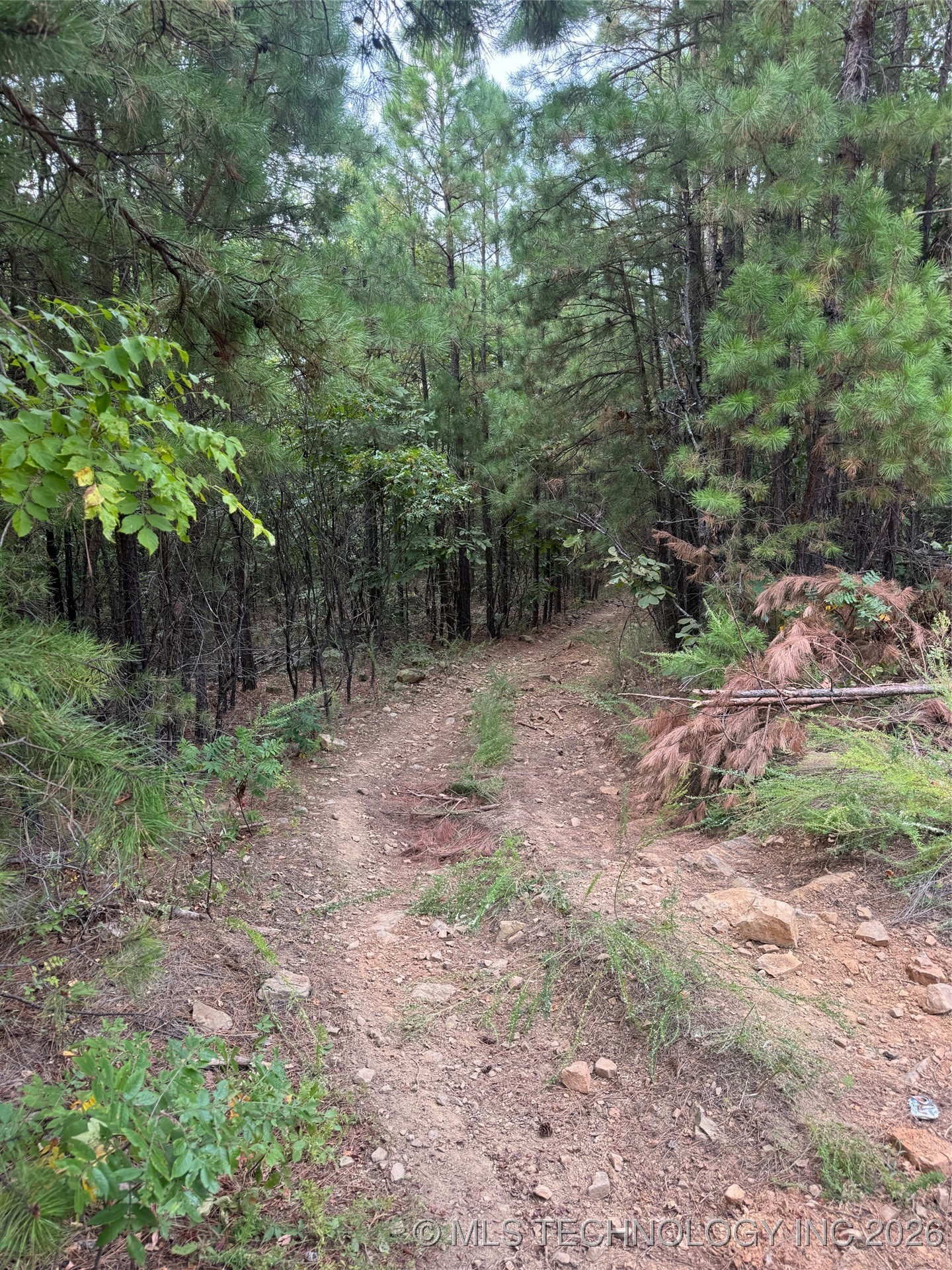 Rural Route Street Property Photo 5