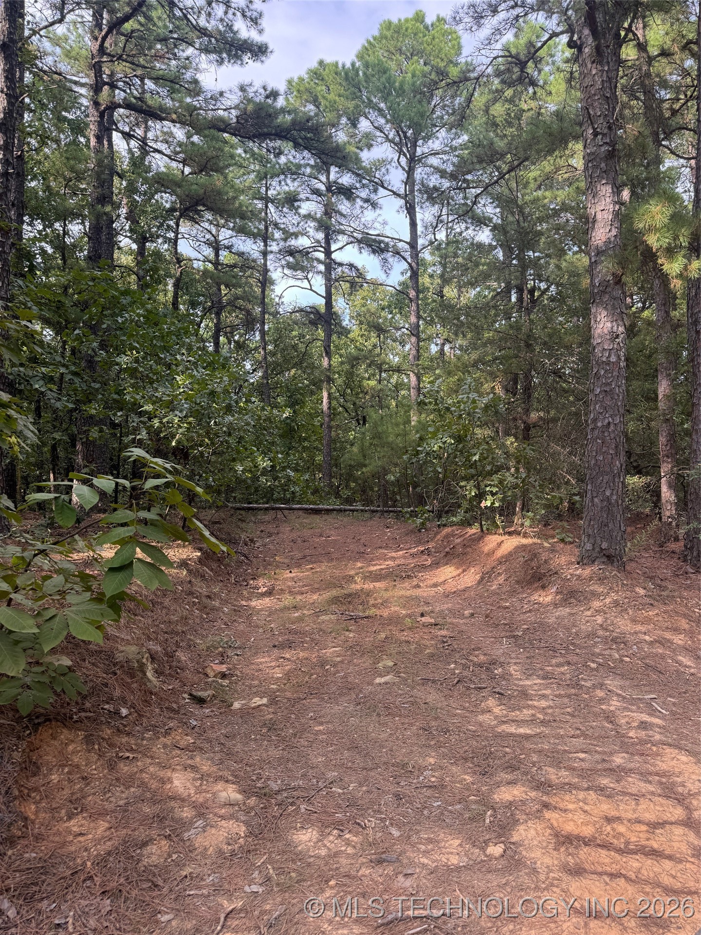 Rural Route Street Property Photo 6