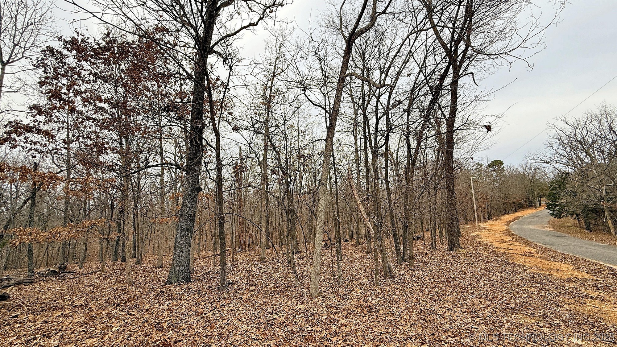 23167 Flint Ridge Drive Property Photo 2