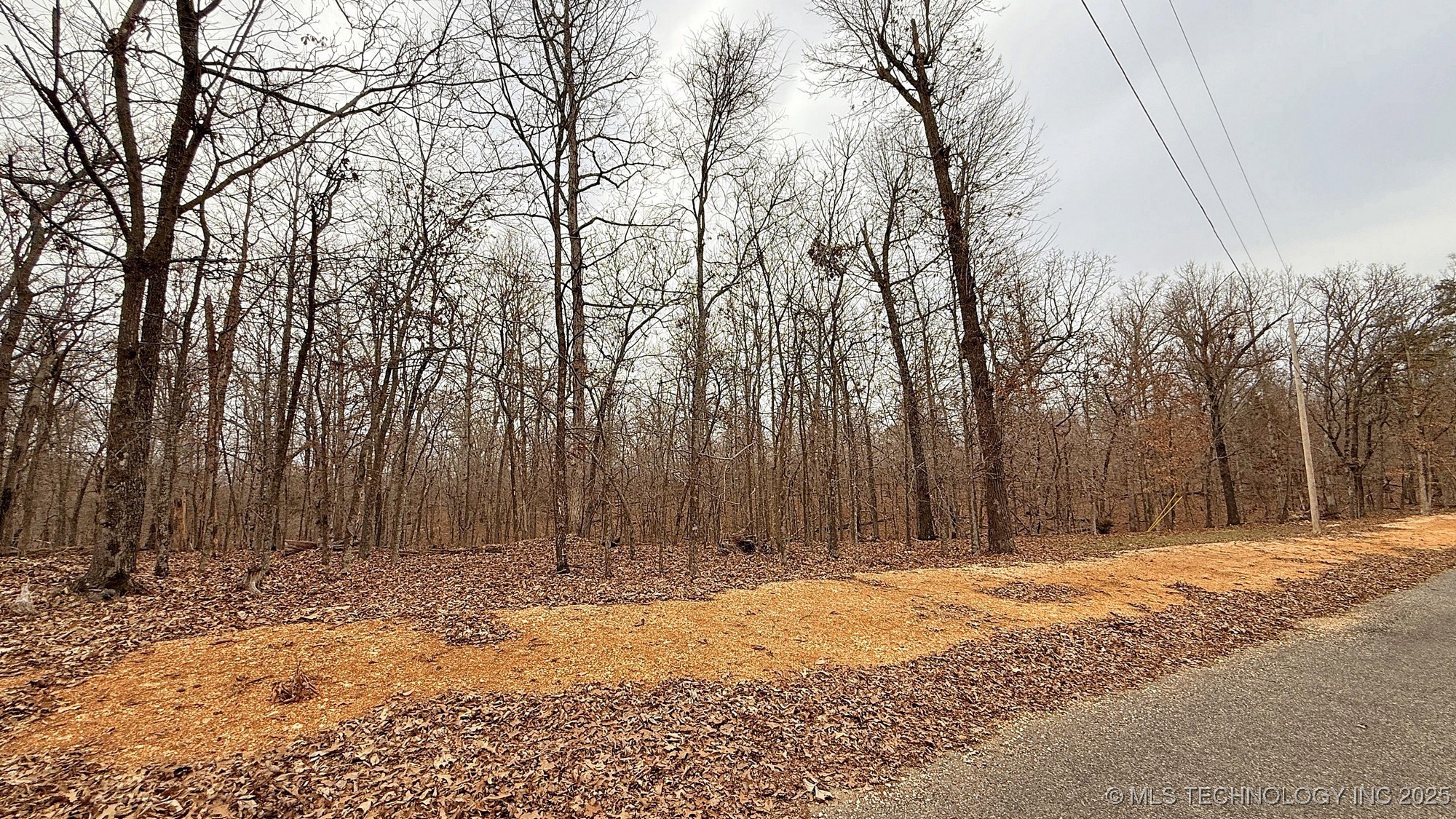 23167 Flint Ridge Drive Property Photo 4