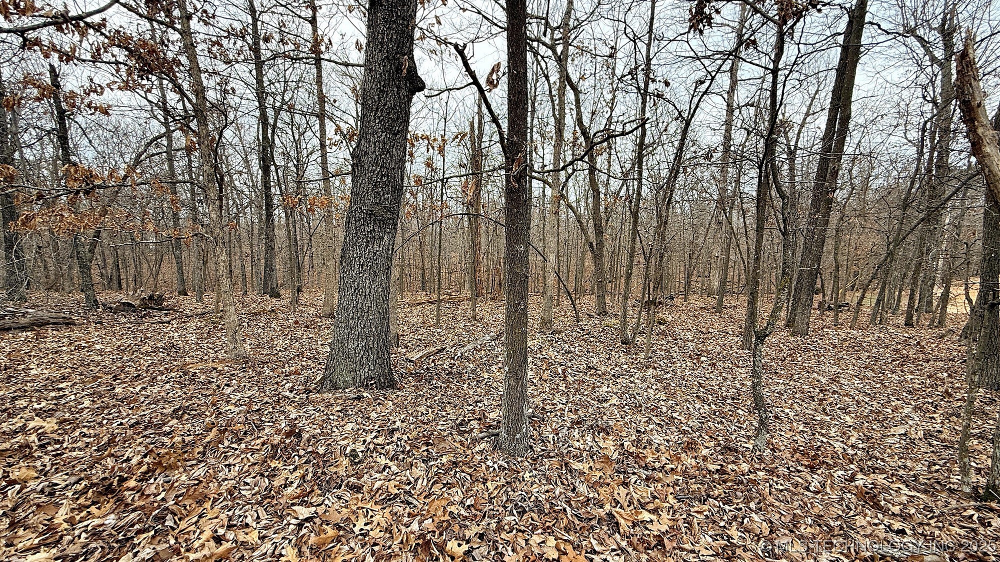 23167 Flint Ridge Drive Property Photo 5