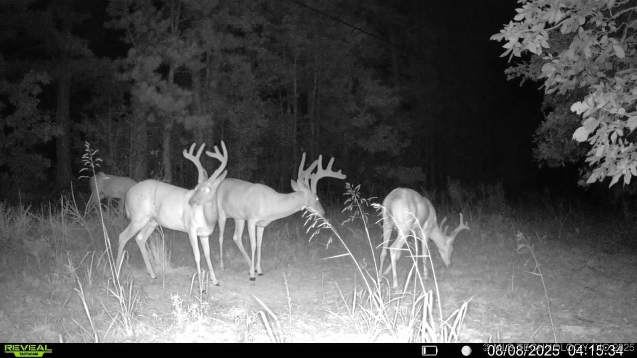 4100 N 430 Road Property Photo 2