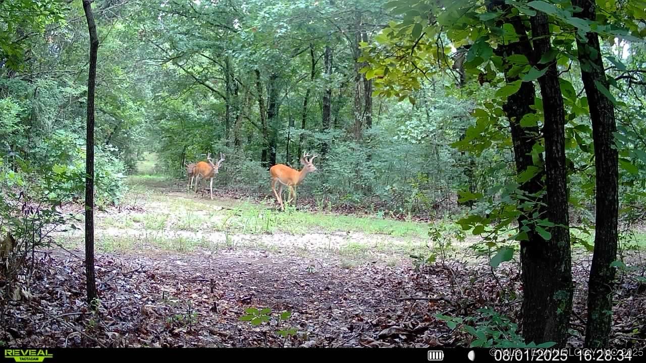 4100 N 430 Road Property Photo 10