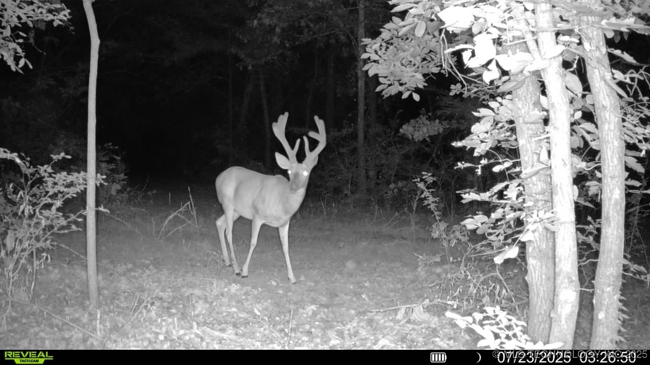 4100 N 430 Road Property Photo 13