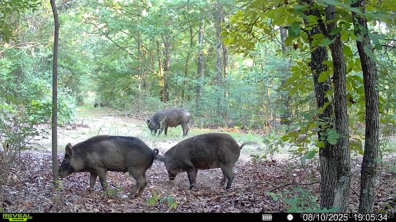 4100 N 430 Road Property Photo 17