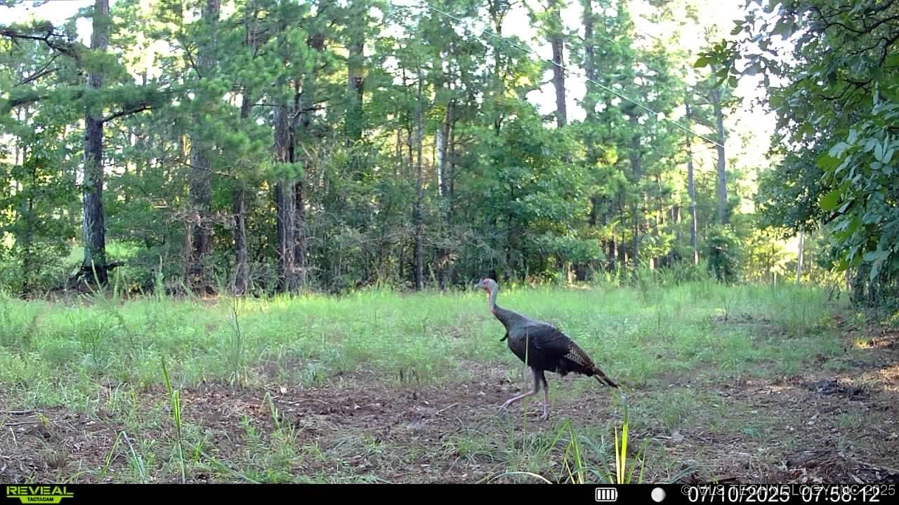 4100 N 430 Road Property Photo 19