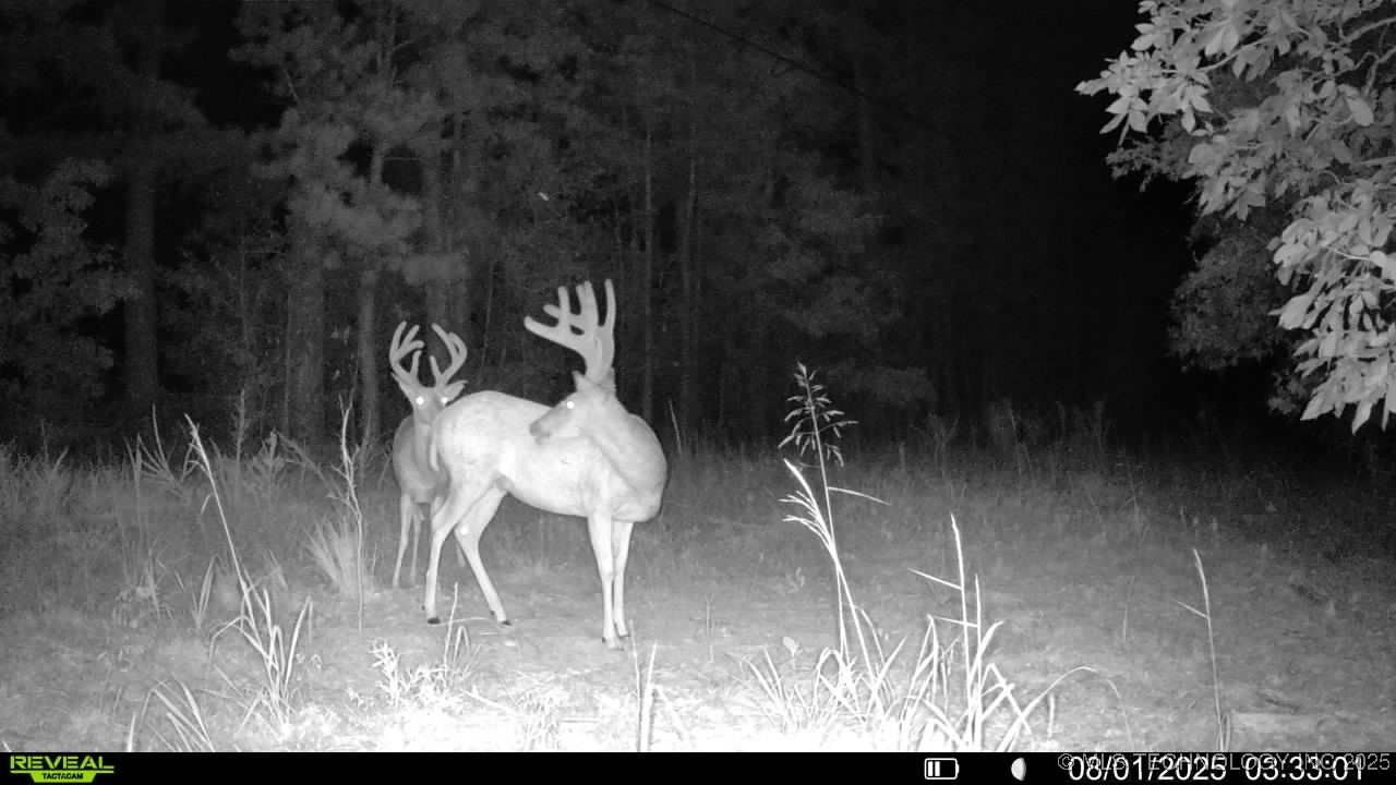 4100 N 430 Road Property Photo 21