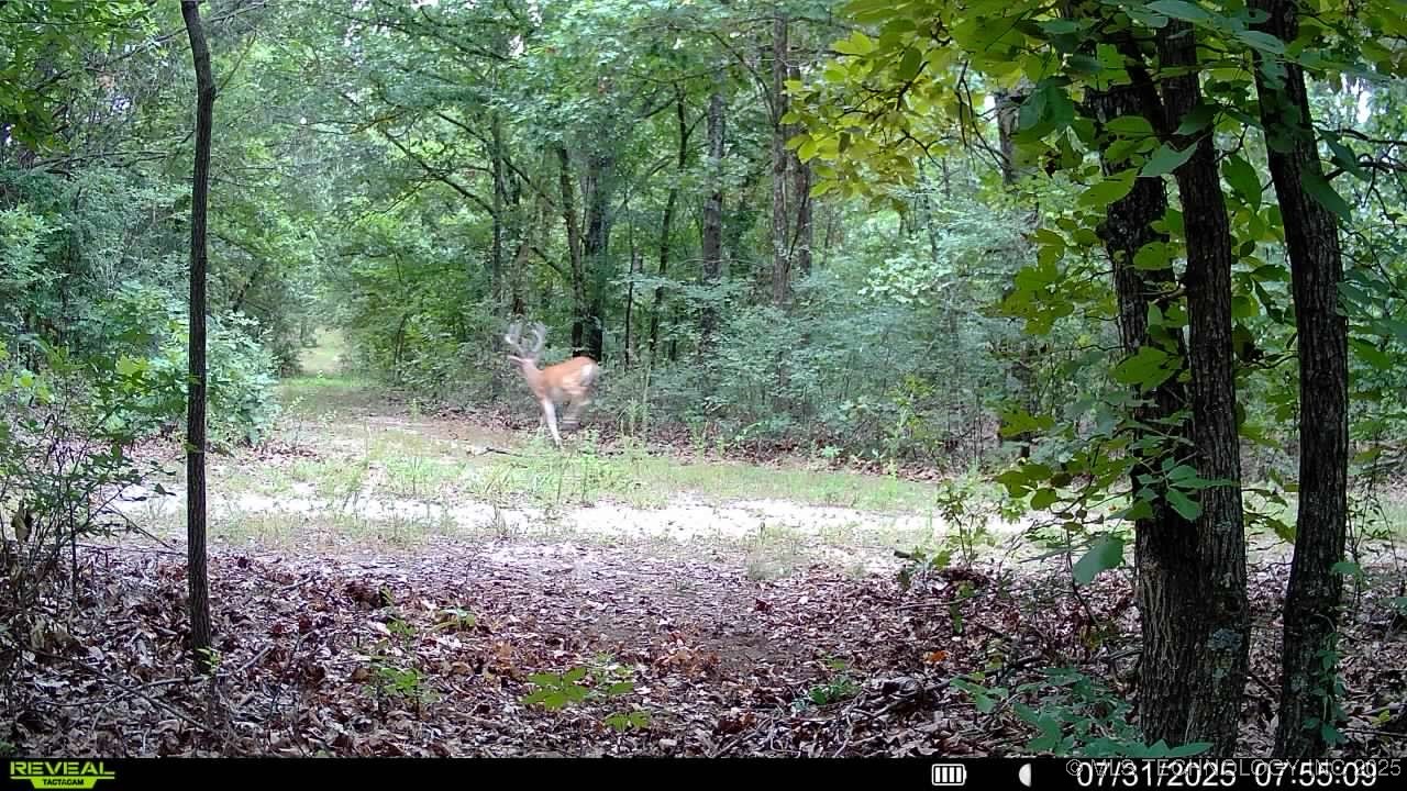 4100 N 430 Road Property Photo 24