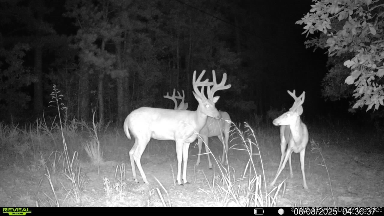 4100 N 430 Road Property Photo 27