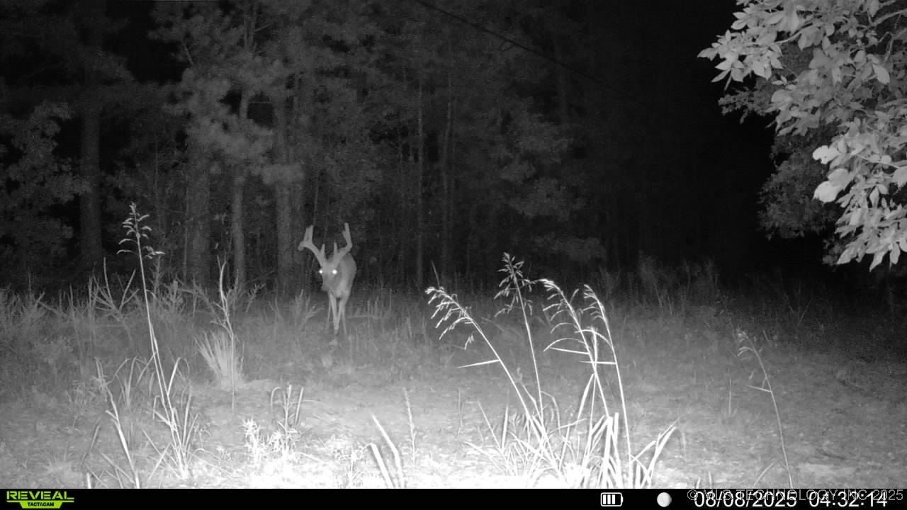 4100 N 430 Road Property Photo 31