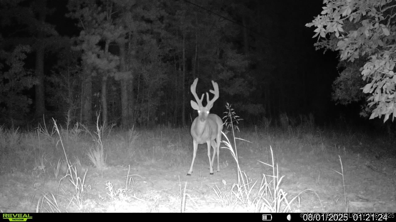 4100 N 430 Road Property Photo 37