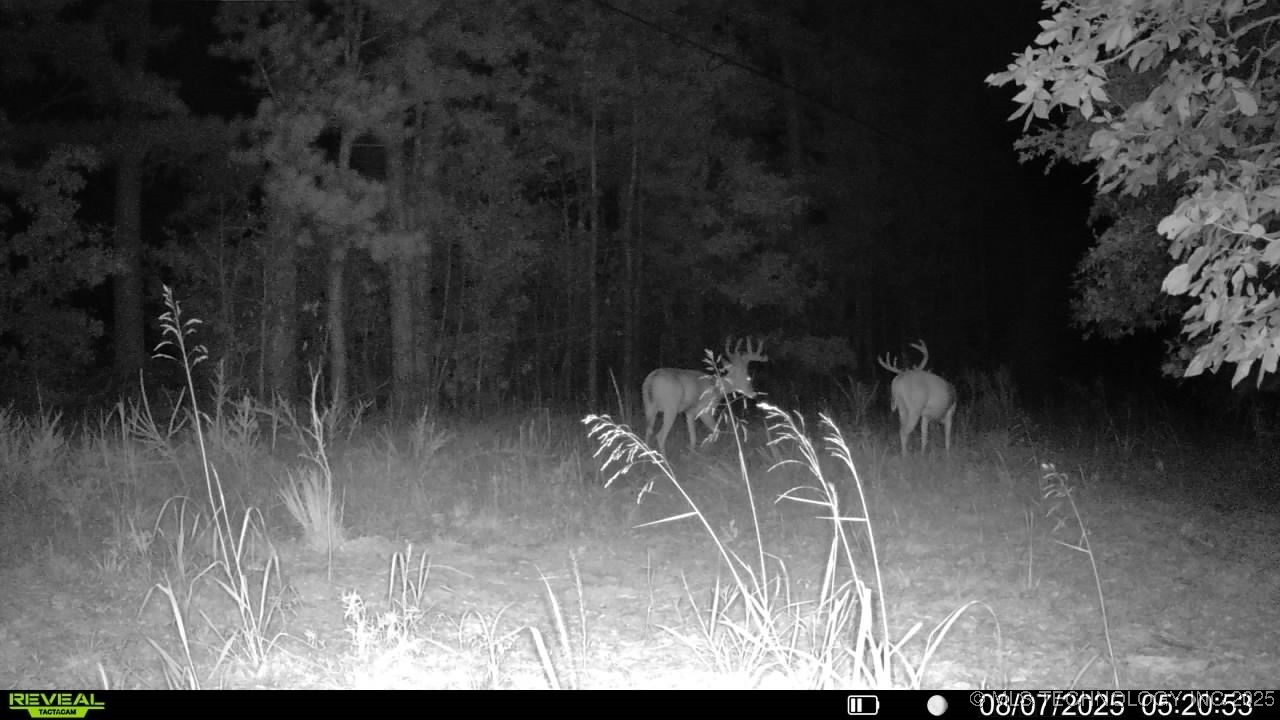 4100 N 430 Road Property Photo 47