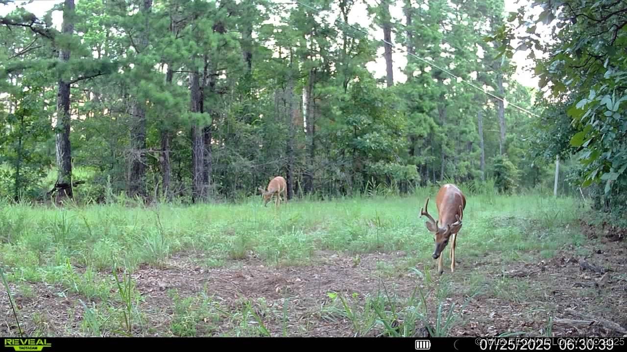 4100 N 430 Road Property Photo 48