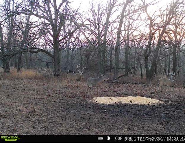 4100 N 430 Road Property Photo 83