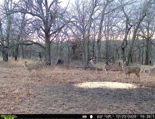 4100 N 430 Road Property Photo 84