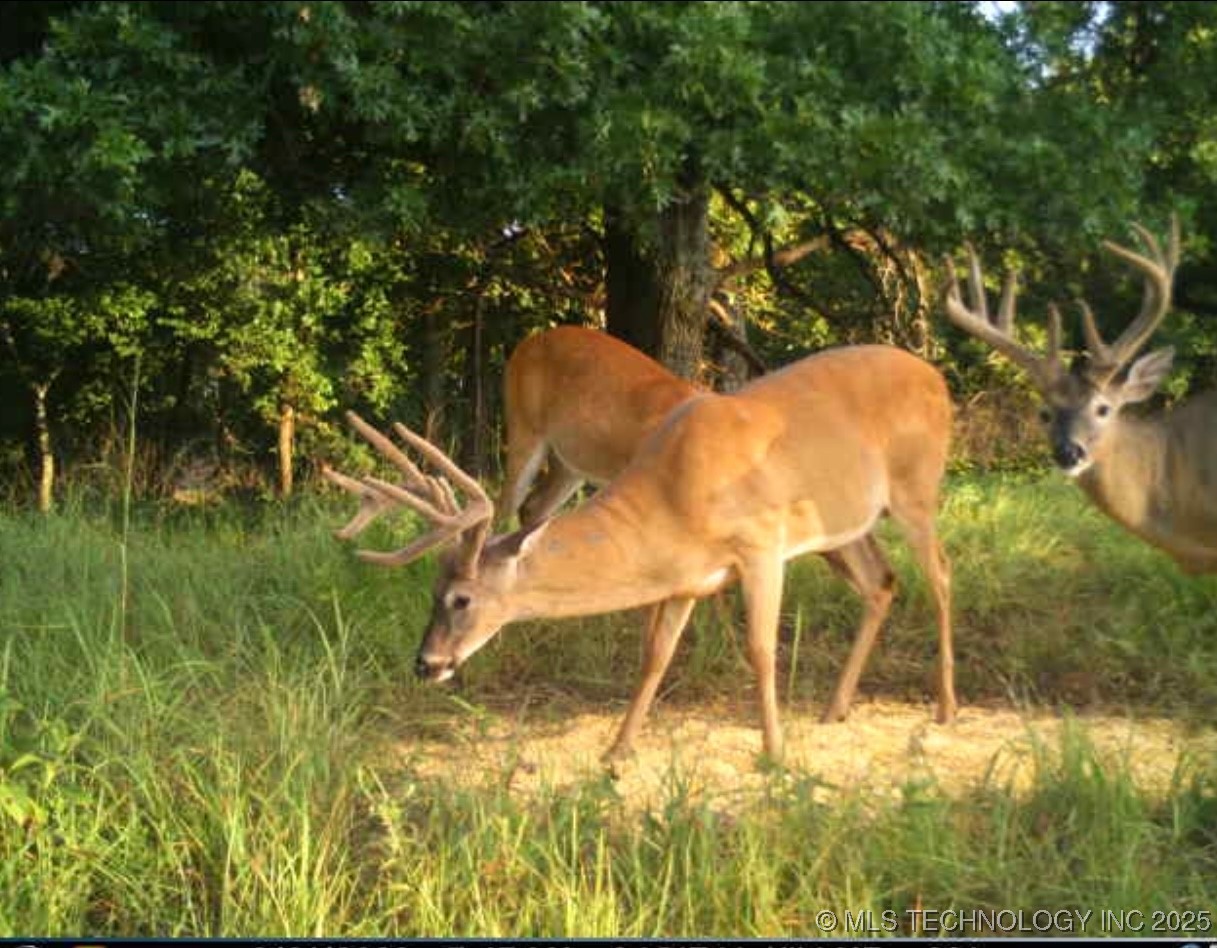 4100 N 430 Road Property Photo 85