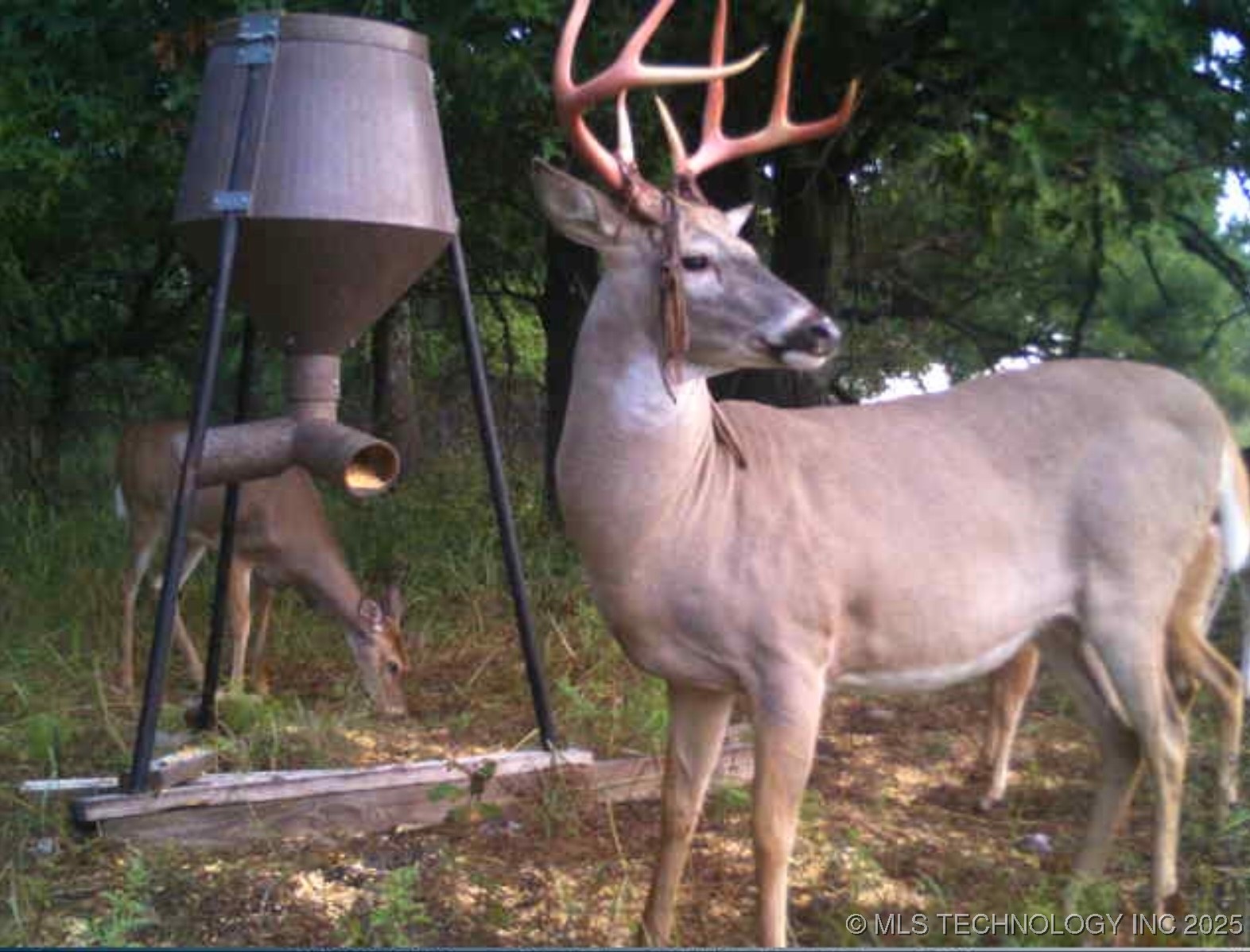 4100 N 430 Road Property Photo 86