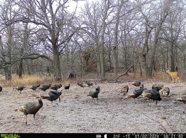 4100 N 430 Road Property Photo 87