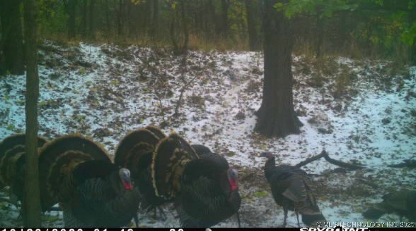 4100 N 430 Road Property Photo 88