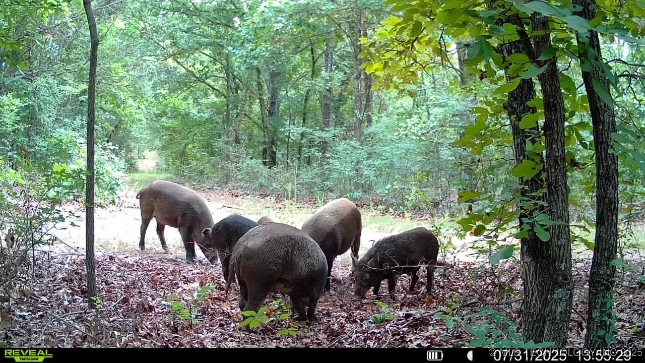 4100 N 430 Road Property Photo 89