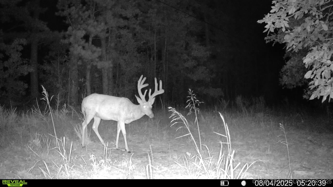 4100 N 430 Road Property Photo 90