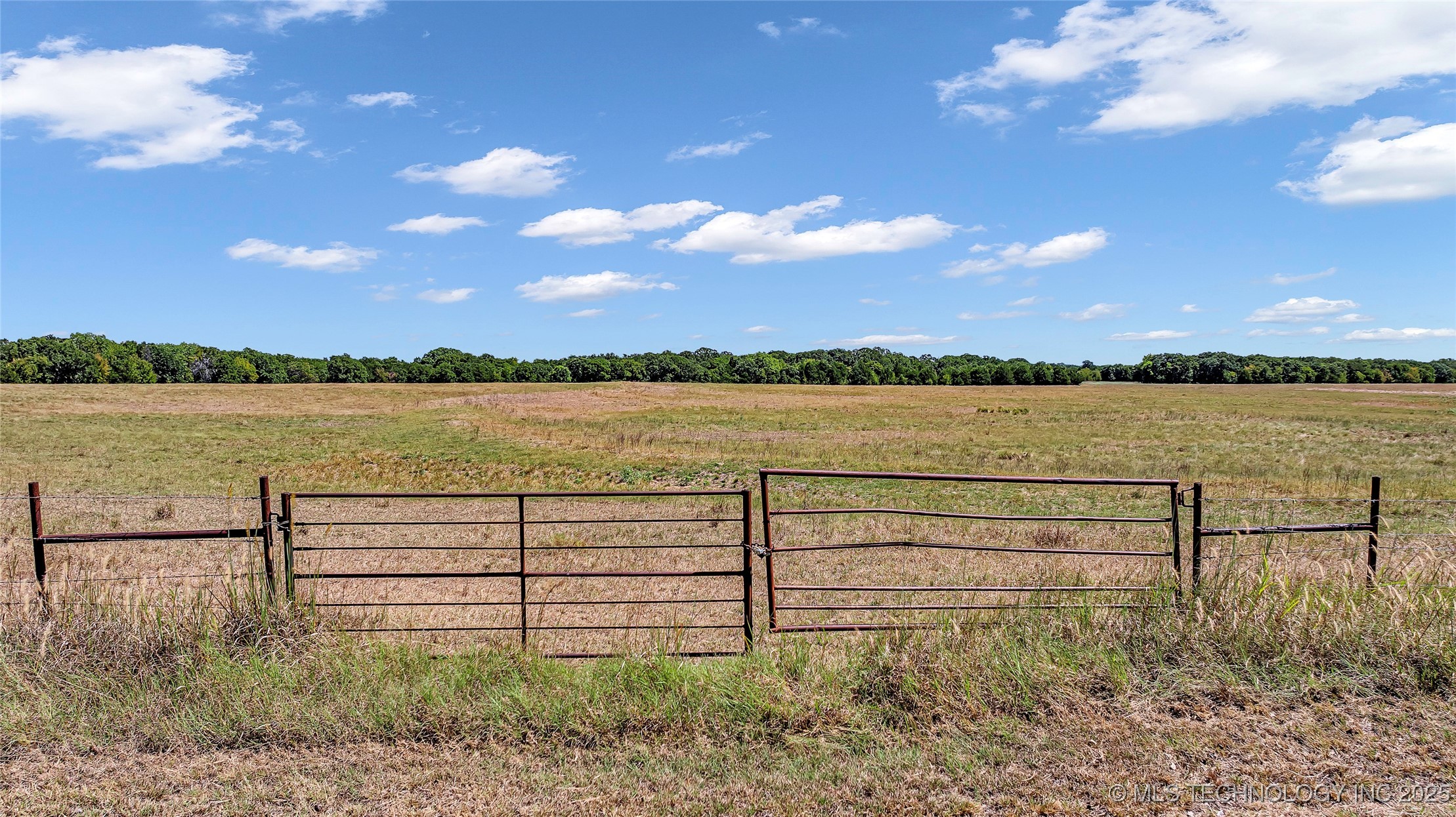 0 Scott Road Property Photo 8