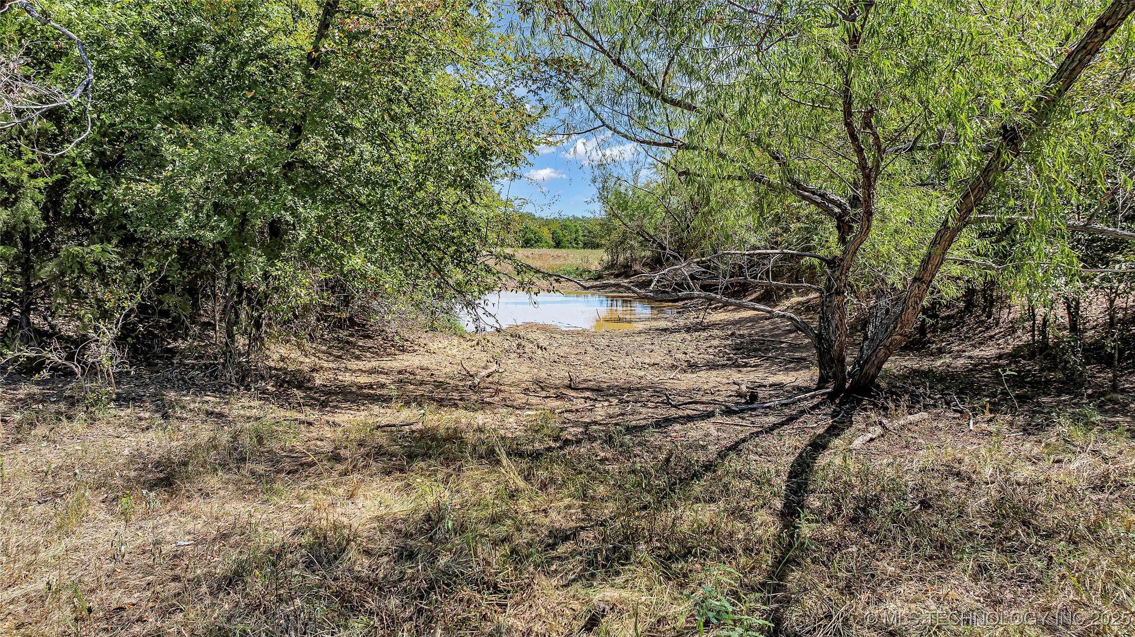 0 Scott Road Property Photo 12