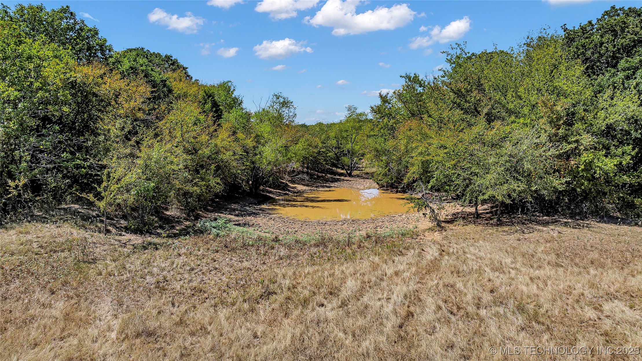 0 Scott Road Property Photo 13