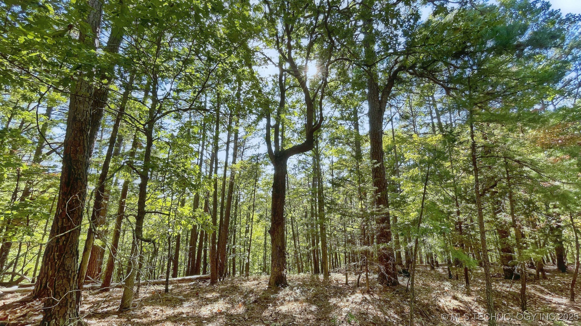 2413 Cypress Point Court Property Photo 1