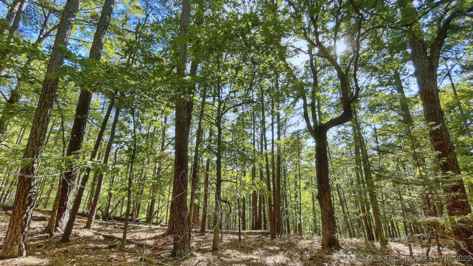 2413 Cypress Point Court Property Photo 2