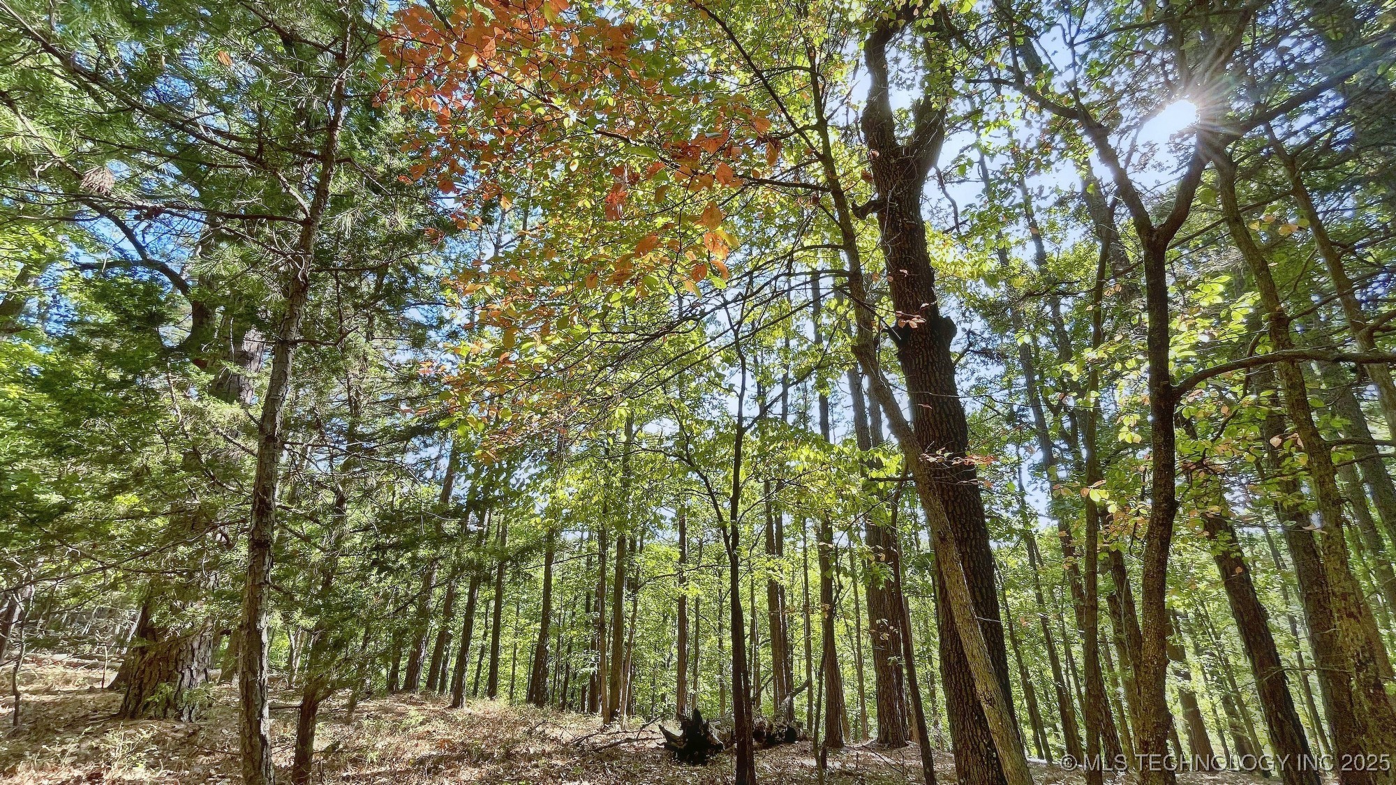 2413 Cypress Point Court Property Photo 3