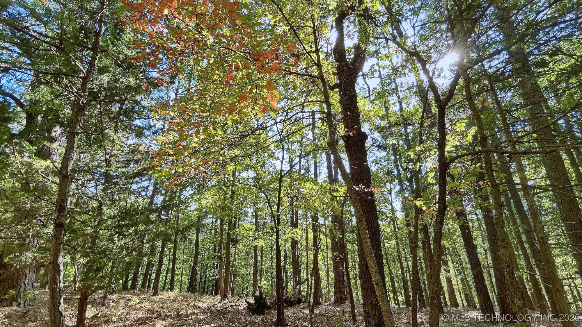 2413 Cypress Point Court Property Photo 4