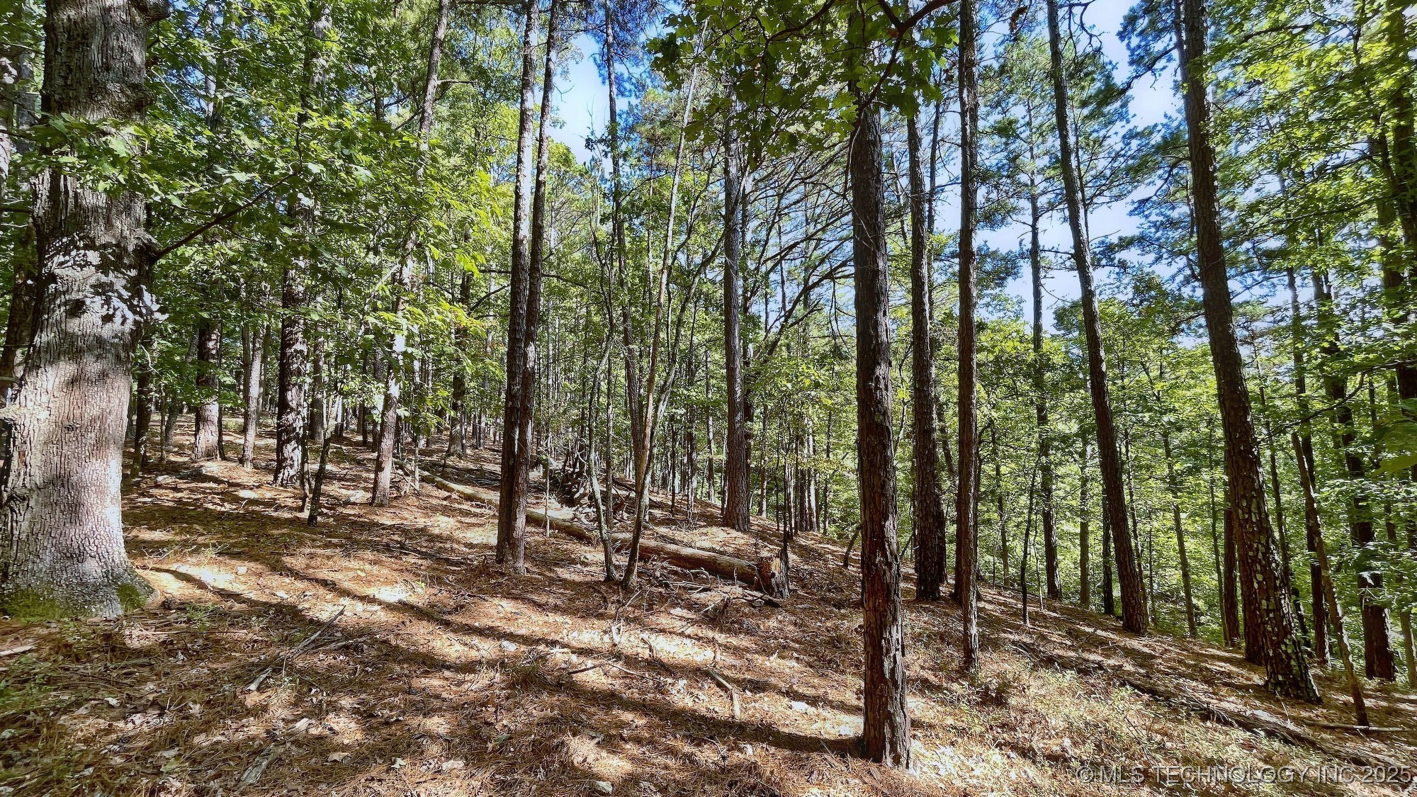 2413 Cypress Point Court Property Photo 5