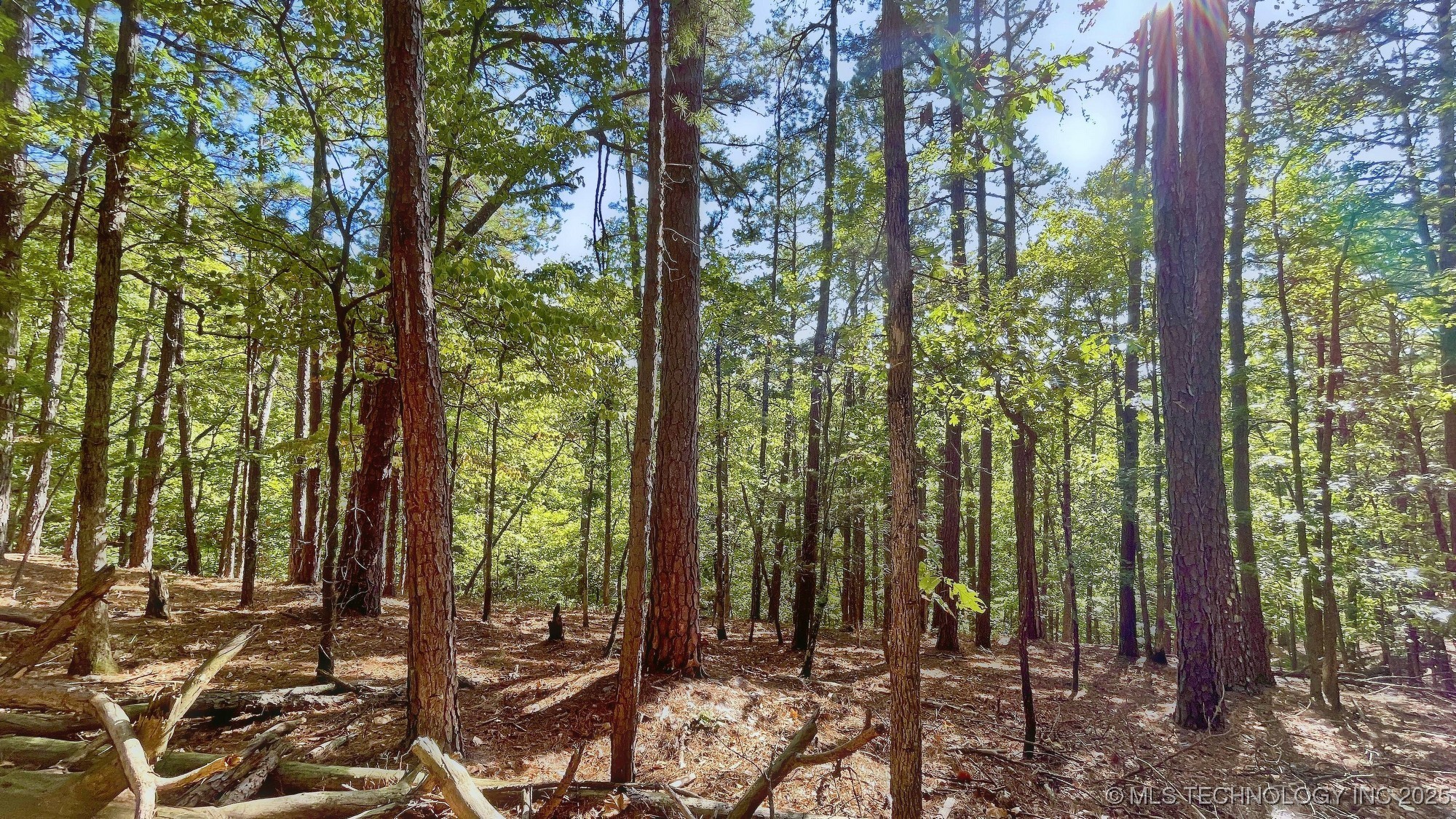 2413 Cypress Point Court Property Photo 6