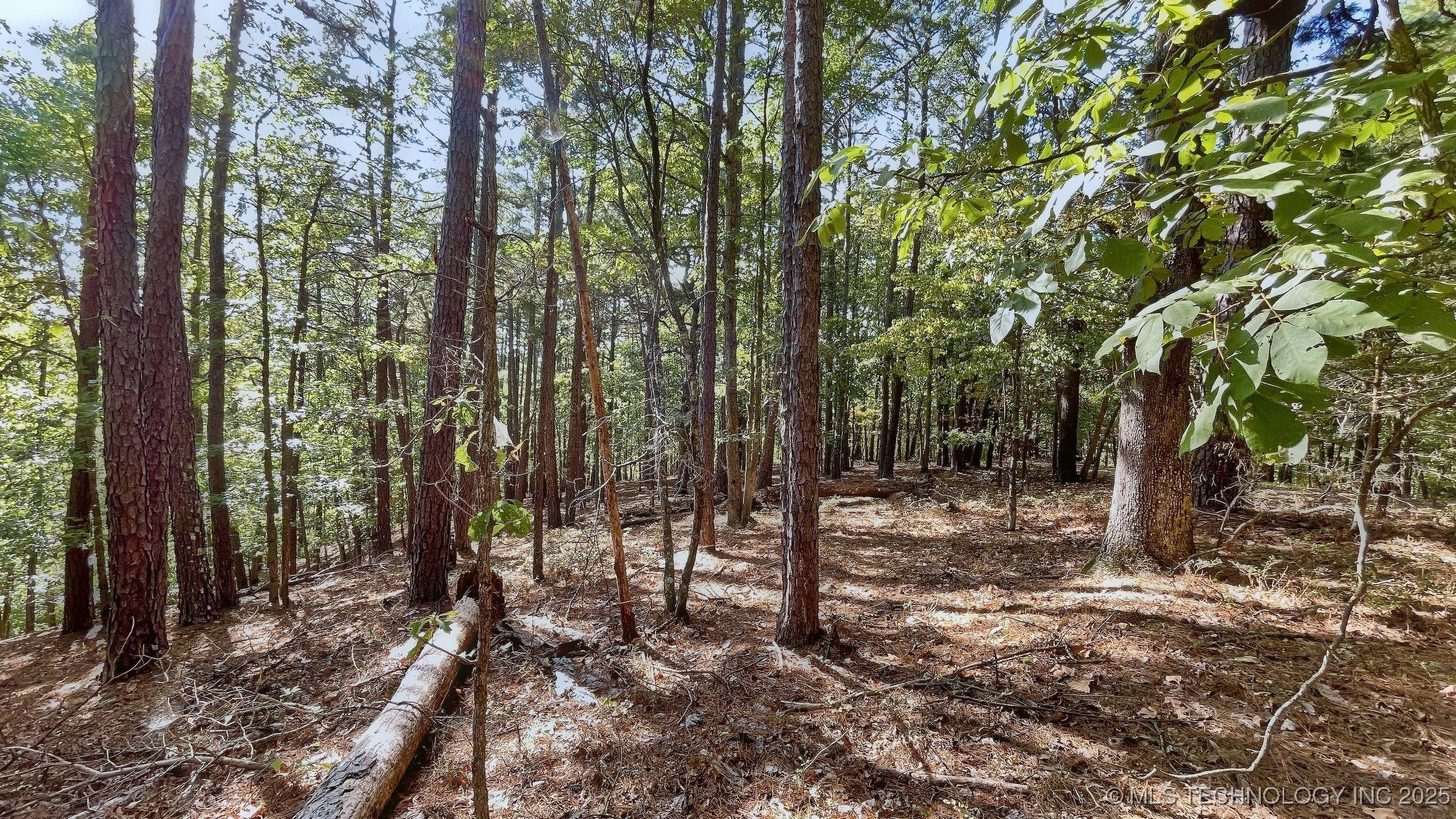 2413 Cypress Point Court Property Photo 7