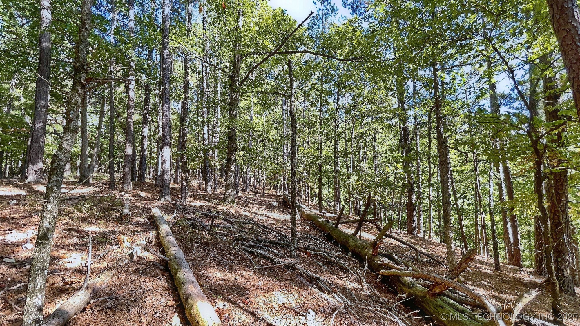 2413 Cypress Point Court Property Photo 8