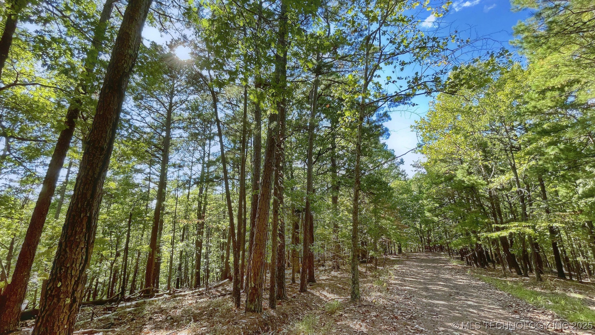 2413 Cypress Point Court Property Photo 10