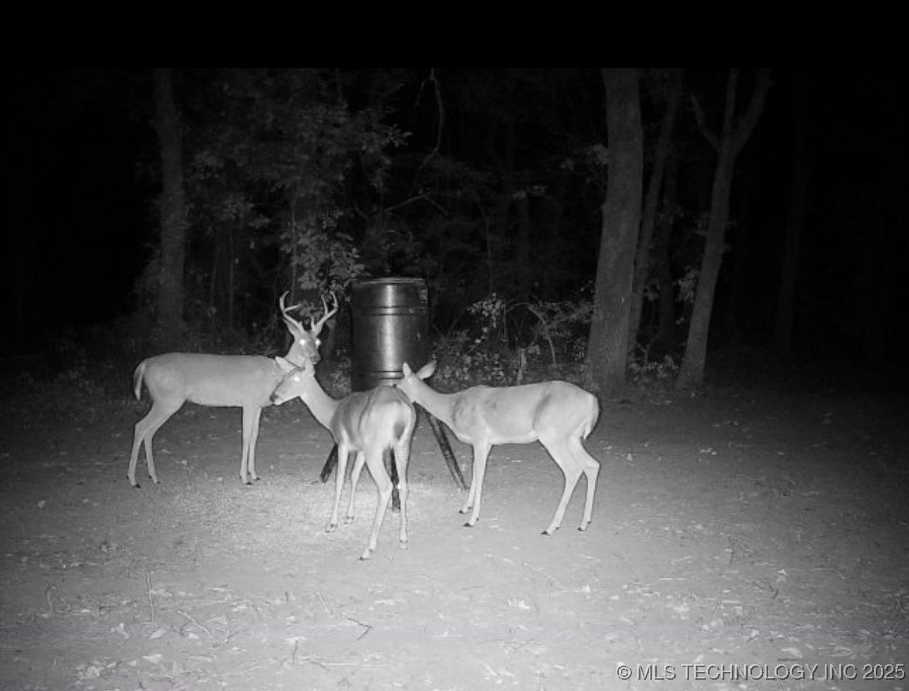 111736 S 4240 Road Property Photo 84