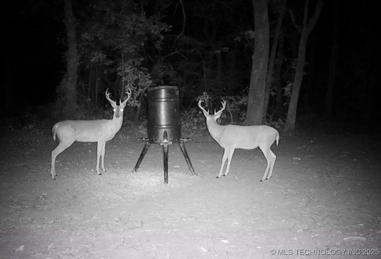 111736 S 4240 Road Property Photo 85