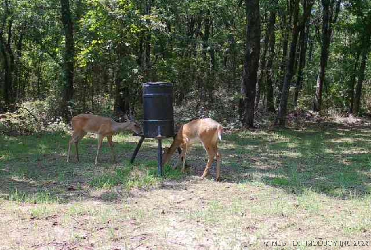 111736 S 4240 Road Property Photo 86