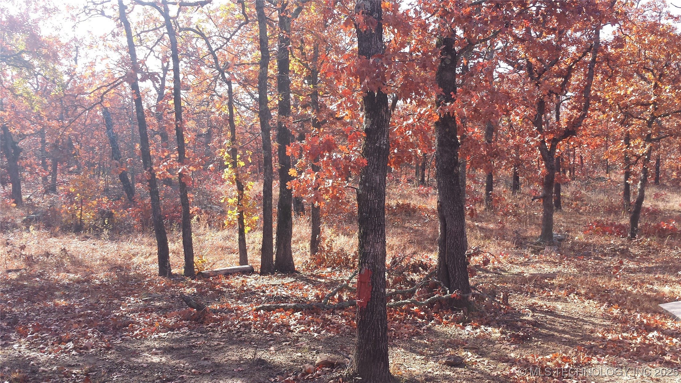 19682 S 145th Street Property Photo 19